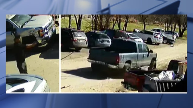 Dallas police working to identify man who shot a dog multiple times