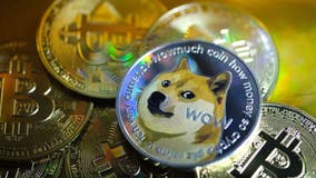 Anonymous donor uses ‘Dogecoin’ earnings to pay adoption fees at Daytona shelter