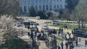 U.S. Capitol Police officer, suspect dead after car rams into barricade