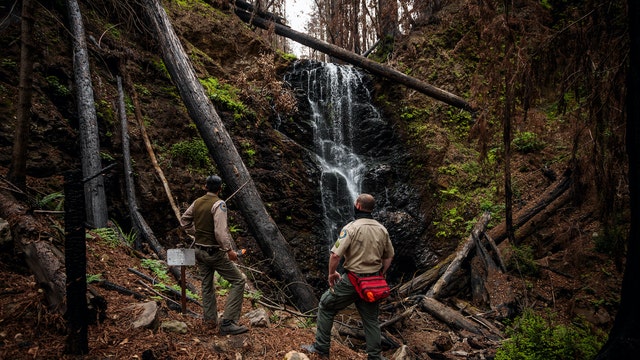 BEFORE-AND-AFTER PHOTOS: Resilient redwood forest beacon of hope for California forest
