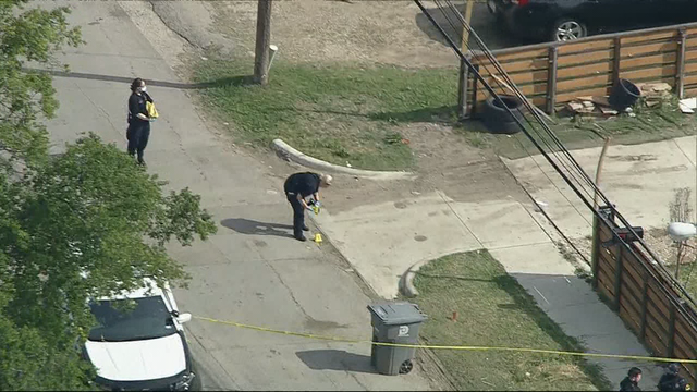 Dallas officer shoots dog dead after 911 call about attempted attack on child