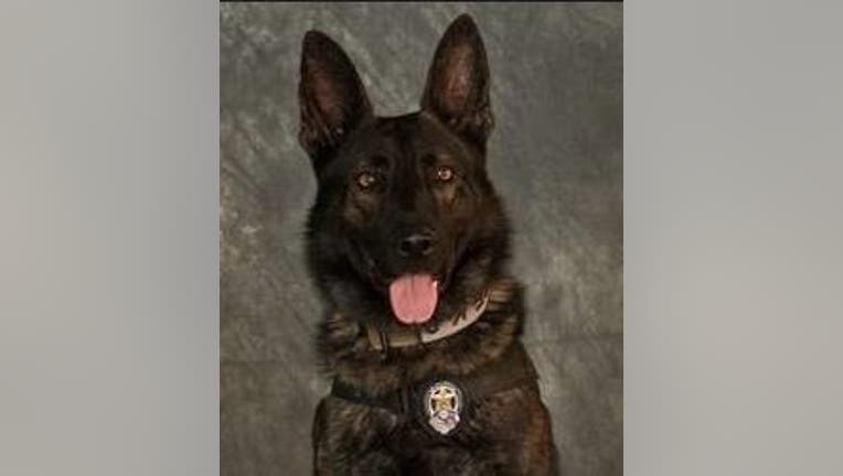 16-year-old charged for death of Mesquite K9 Kozmo