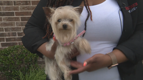 Greenville woman who helped reunite dog with owner pays it forward with reward money