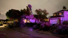 Tornado rips up homes, knocks down trees and power lines in Chicago suburbs of Naperville, Woodridge