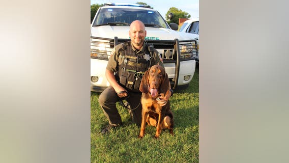 K9 bloodhound finds endangered 6-year-old missing a month