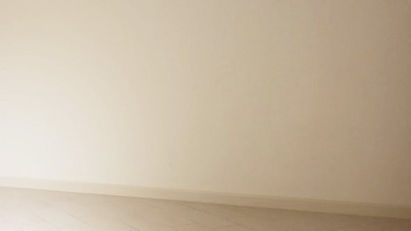 Italian artist sells 'invisible sculpture' for $18K