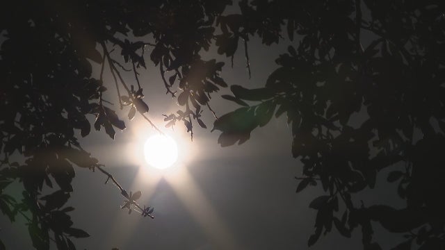 Texans asked to conserve electricity through Friday as state's power grid struggles