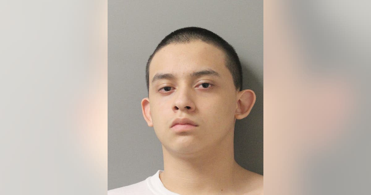 MS-13 gang member pleads guilty to 2 Houston murders: DA's office | FOX ...