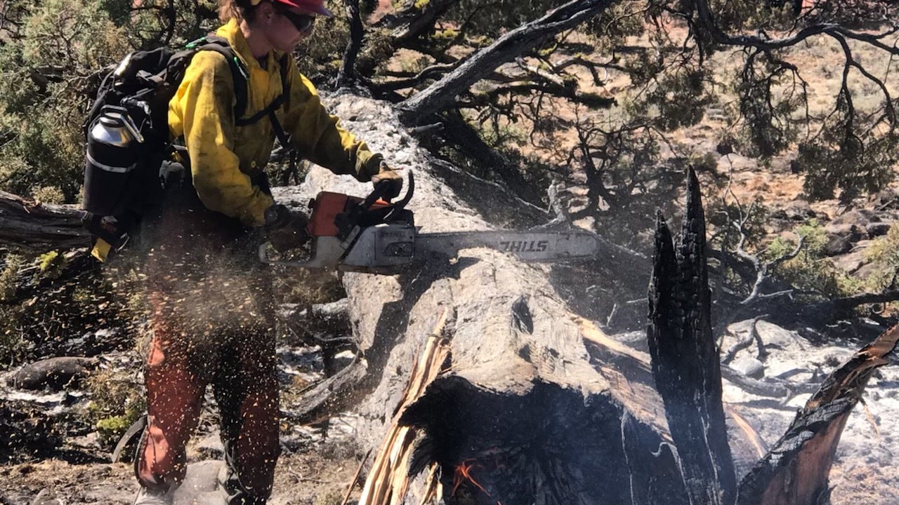 Texas A&M Forest Service sends personnel to fight wildfires in west - Vimarsana News