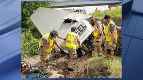 PETA to put up billboard to memorialize dozens of cows killed, injured in Fort Worth crash