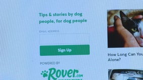 On Your Side: Dog owner warns about hiring sitters through popular pet-sitting app