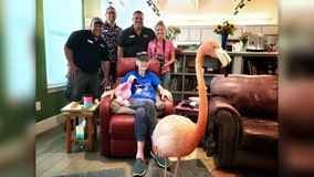 San Antonio Zoo surprises terminally ill Austin resident with flamingo