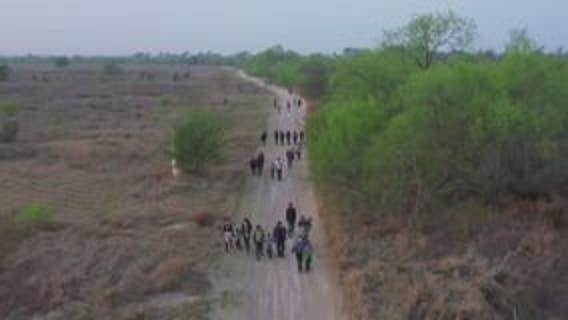 New Abbott order restricts transport of migrants due to COVID-19