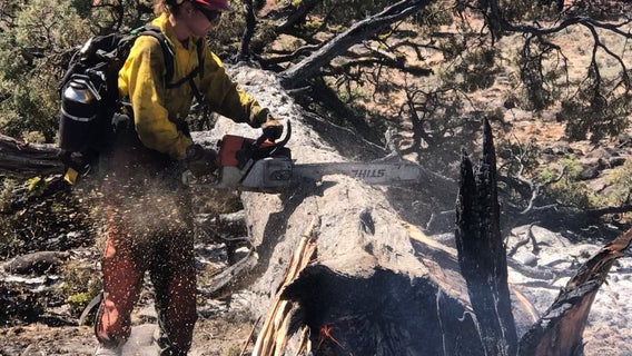 Texas A&M Forest Service sends personnel to fight wildfires in west