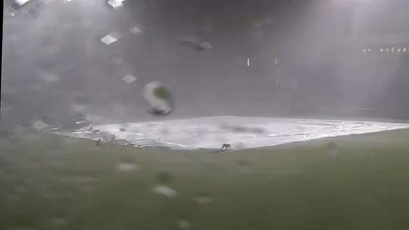 Worker thrown across tarp by winds whipping through baseball stadium