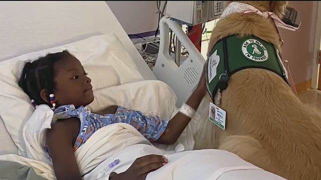 Teen driver accused of hitting 8-year-old boy in Fort Worth neighborhood