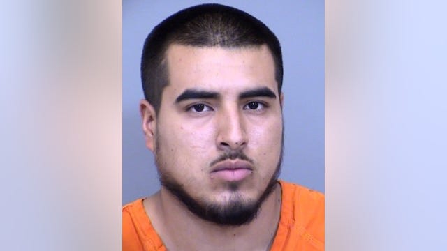 Dogs euthanized after attacking, killing Phoenix woman; owner arrested