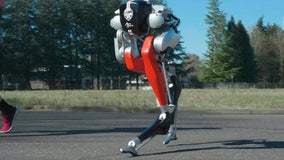 Bipedal robot becomes 1st ever to run 5K, university says