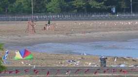 Deadly lightning strike: Boy, 13, killed, 6 others injured at Orchard Beach