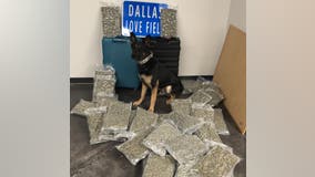 Dallas PD: 42 pounds of marijuana found at Love Field