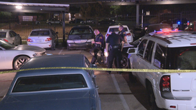 2 dead, 1 seriously injured after disturbance leads to shooting in Dallas