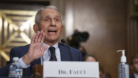 Fauci OKs trick-or-treating this Halloween