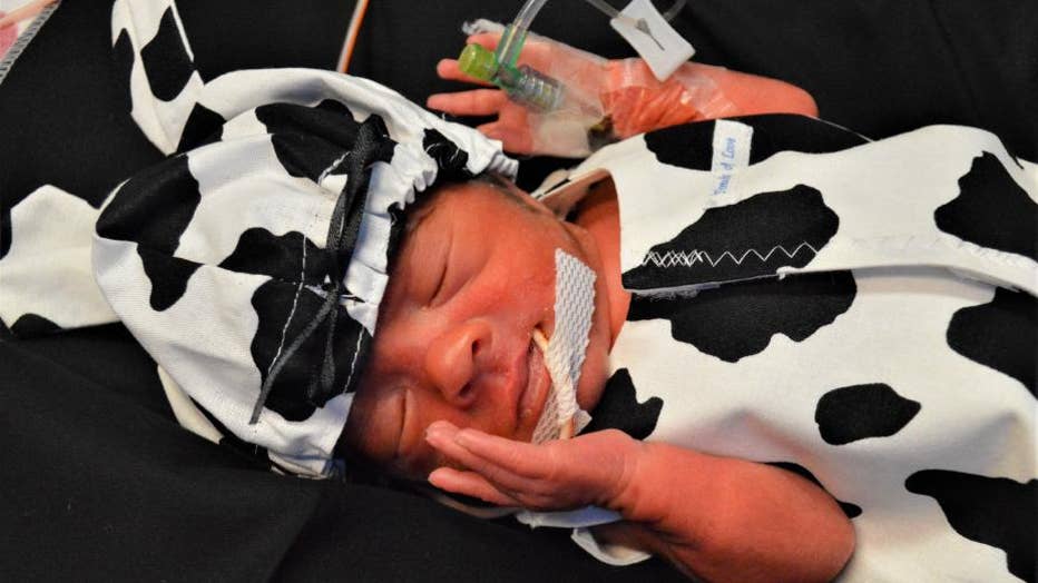 Enjoy these photos of tiny babies at Methodist Dallas and other kids in  costume for Halloween