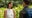 FOX renews ‘Fantasy Island’ for a repeat visit (and a holiday episode!)