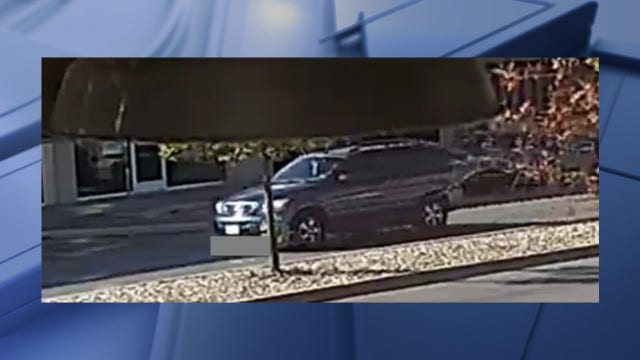 Dallas police seek driver involved in 'devastating' hit-and-run