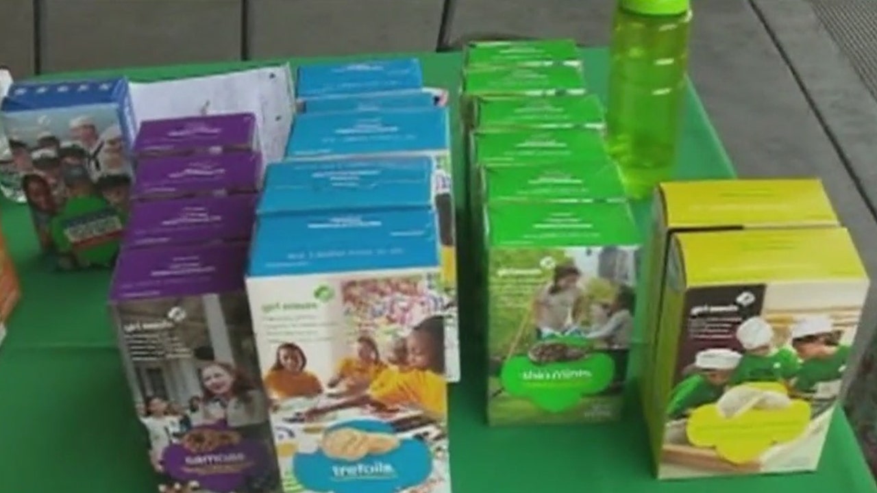 Girl Scout Cookie season: How much will a box of cookies cost you? - Vimarsana News