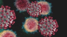 Can you catch COVID-19 again? Doctor warns omicron BA.5 subvariant escapes immunity