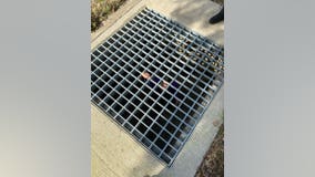 Southlake girl rescued from storm grate after snakes blocked her way out of drainage pipes
