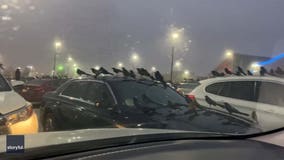 Video: Flock of birds swarms Texas mall parking lot