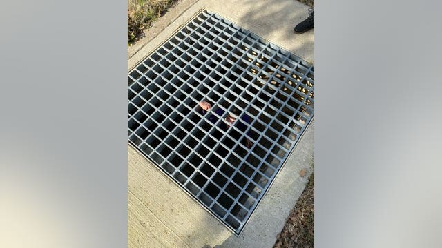Southlake girl rescued from storm grate after snakes blocked her way out of drainage pipes