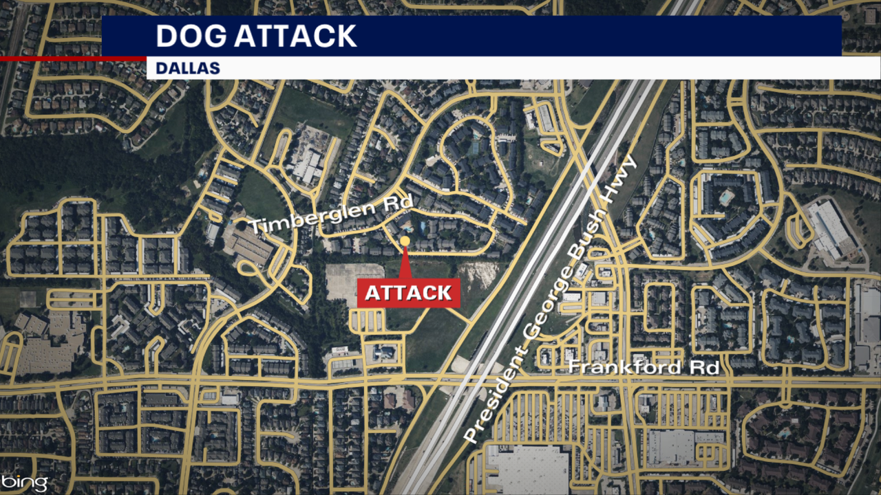 Owner arrested after dog mauls 6-year-old boy in North Dallas - Vimarsana News