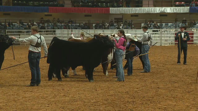 Competitors overcome winter weather to take part in Fort Worth Stock Show