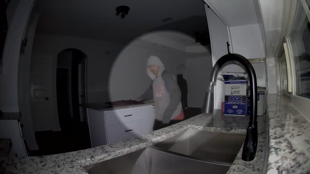 VIDEO: Man with bolt cutters breaks into South Dallas home