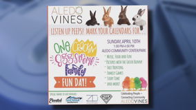 'Aledo Vines' event hopes to promote unity, diversity in Aledo