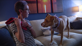 Philadelphia woman's dying wish is to find new owner for her dog