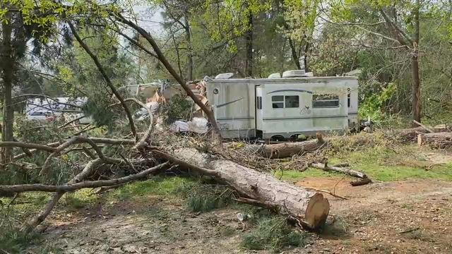 East Texas man killed when tree falls on home during Monday storms