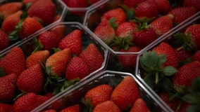 Strawberries sold in grocery stores across the country recalled after Hepatitis A outbreak