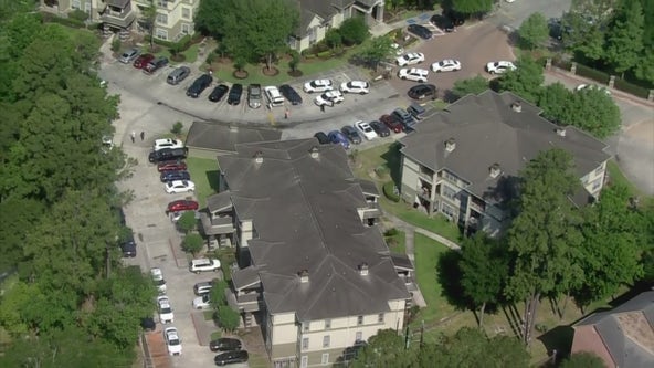 Girl, 3 adults shot to death at Harris Co. apartment in apparent murder-suicide: sheriff