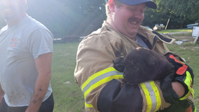 Terrell firefighters rescue puppy stuck in septic tank