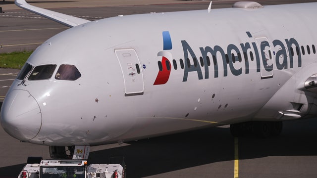 Woman who disrupted flight over 'not real' passenger is from Dallas, according to new report