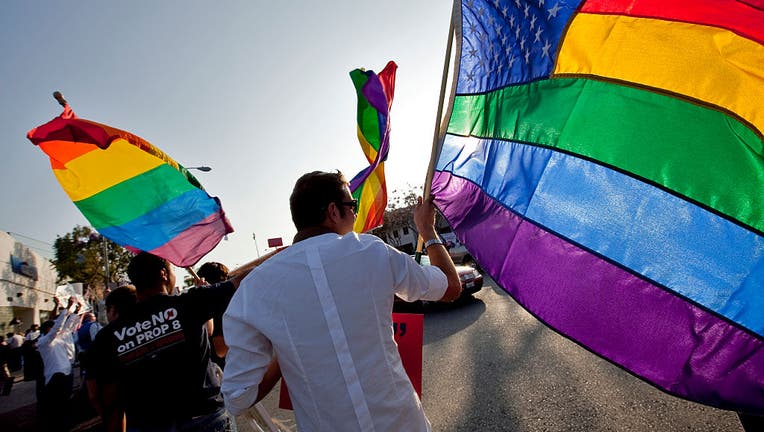 USA - Gay Rights - Rally and March Against Prop 8