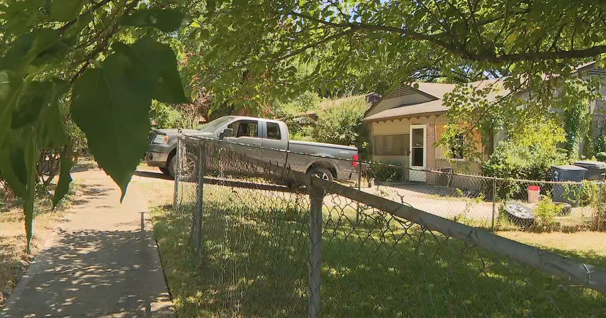 4-year-old girl dies after being bitten by dog in Dallas | FOX 4 Dallas ...