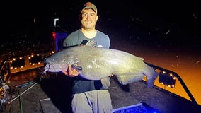 Virginia man catches 66-pound blue catfish, breaks state record