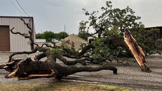 Hood County city cleaning up after damaging storm, power restored to Tolar residents
