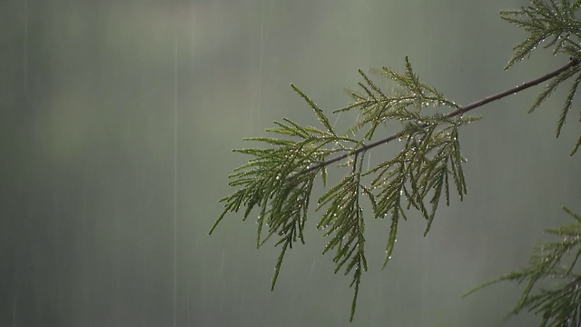 DFW snaps 67 day rain-free streak, it wasn't close to the all-time record