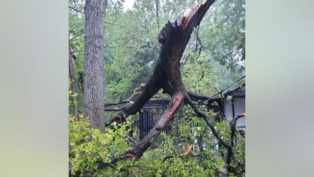 Dallas Zoo to reopen Tuesday after closing due to storm damage